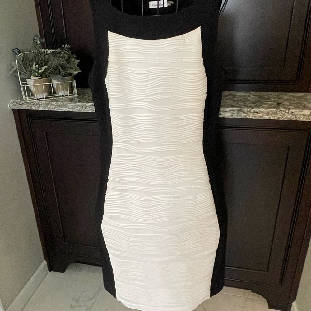 Calvin Klein Black and White Silhouette Dress EUC
